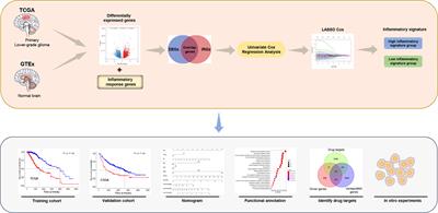 Transcriptional Networks Identify BRPF1 as a Potential Drug Target Based on Inflammatory Signature in Primary Lower-Grade Gliomas